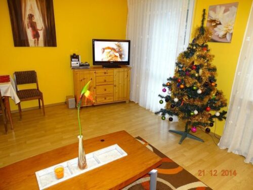 Apartament Natalia w centrum miasta