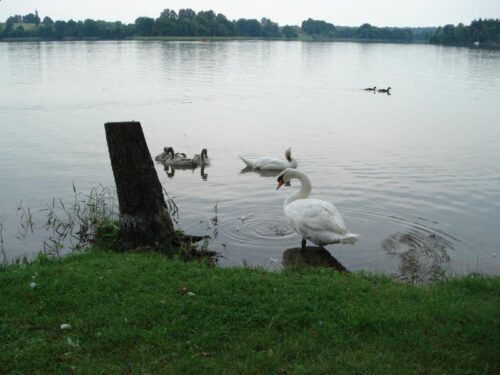 Brzozowa Kępa