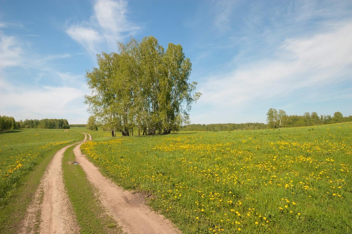 Bieszczady poza sezonem: gdzie nocować, gdy szlaki pustoszeją