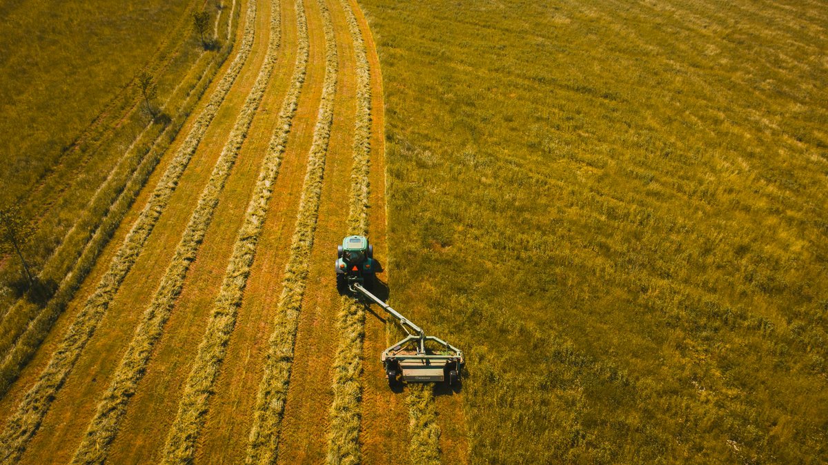 Agroturystyka z alergikiem: o co zapytać gospodarza przed rezerwacją