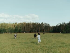 Majówka bez tłumów: siedem kierunków, których nie ma w rankingach