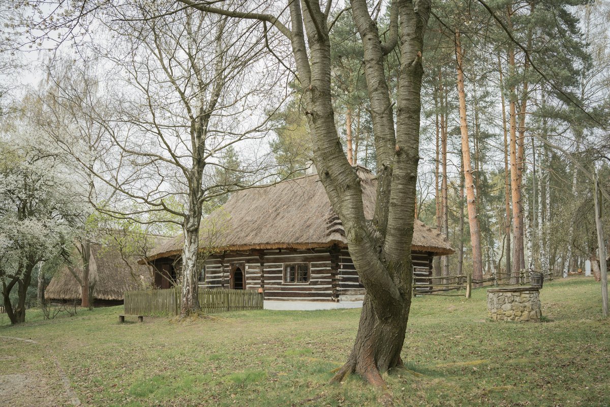 Stara chata z bali pod strzechą wśród drzew, obok kamienna studnia