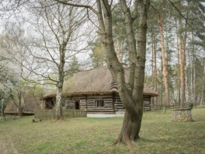 Spływ kajakowy z dziećmi: jak przygotować pierwszy rodzinny spływ